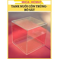 Mica box for raising spiders, scorpions, and centipedes - Reptile insect-Tank spider farming box 30x