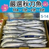 嚴選秋刀魚-特A級秋刀魚 1號秋刀魚 2號秋刀魚 3號秋刀魚/1箱10公斤免運費 秋刀魚 冷凍秋刀魚 小秋刀魚