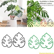 BLACK Monstera Vertical Growth Plant Stakes For Monstera Plant And Garden Trellises