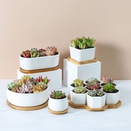 Succulent Plant Pot Mini Simple White Small Flower Pot with Holder Creative Ceramic Flower Pot Combination Platter