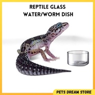 Reptile Glass Water Dish Leopard gecko worm dish gecko water bowl scorpion Crested Gecko Food bowl