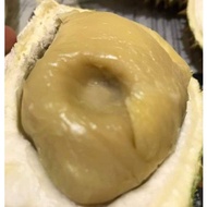 ANAK POKOK DURIAN D24 SULTAN