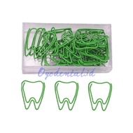 Dental Paper Clips Dental Paper Clips Dental Tool