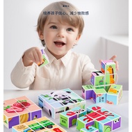 9-Piece Magnetic 3D Puzzle Toy - Magnetic Puzzle Set with 6 Interesting Themes for Children