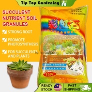 13L (8 KG) RAINBOW STONE 彩虹石 SUCCULENT NUTRIENT SOIL GRANULES PUT ON TOP/MIXED WITH SOIL