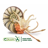CollectA 88902 - Pleuroceras Ammonite