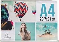 Exacompta - Ref 84059D - Box of 30 Horizontal Display Folders, A4, Dimensions D 30 x W 9.5 x H 21.5 