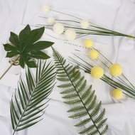 Leaf New Product Props Photography Props Tree 12y Decoration ins Background Food Photo Props Posing 