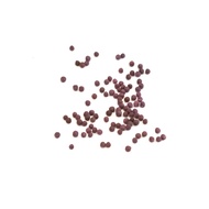 Seed: Coriander (50 pills)