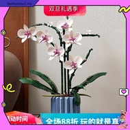 LEGO 10311 Orchid  LEGO  Botanicals  Orkid