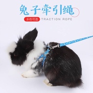 Arnab Tinjauan Tali Arnab Bekalan Pakaian Little Pet Walking Rabbit Arnab Rope Let Rabbit Rope