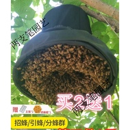 ST-🚤Bee Collection Cage Special Bee Collection Tool Bee Collection Bag Bee Cage Bee Collection IFJV