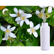 0.5kg 1kg Neroli Fragrance Oil Concentrate