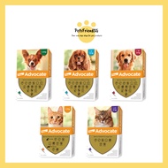 ADVOCATE CAT/DOG ANTI FLEA/ Seresto Flea Tick Pet Collar Anti Flea for Pets Cat Dogs