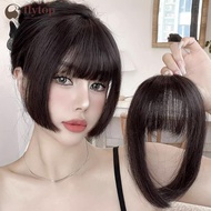 FLYTOP Cute Princess Bangs Wig Middle Part Wig Piece Two Sides Wig Piece Naturally Trimmed Fringe Pi