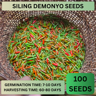 (100 SEEDS) SILING DEMONYO/NATIVE SILI/SUPER HOT - 1PACK