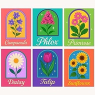 Bougimal 6 Pack Paint by Numbers Kit for Beginners, 11" W x 14" L Flower 1 DIY Acrylic Paint Set on 