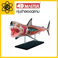 4D Vision 4D Shark Model