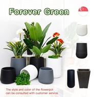 ForeverGreen PVC Plant Tall Pot Slim Pot Black Gold White Flower Pot PVC Plastic Plant pots Garden Decor Plant Pot