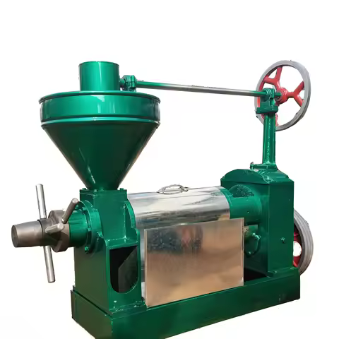 Flax Seed Soybean Baobab Seeds Cotton Seed Oil Press Machine Cold Press Oil Extraction Machine