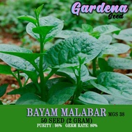 50 biji benih BAYAM MALABAR hijau dan merah