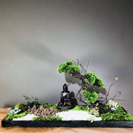 Desktop tree painting [High quality tree painting, An Thinh Decor decorative tree painting]