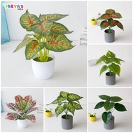 FR-C163 Ornamen Pot Tanaman Daun Plastik Hiasan Dekorasi Rumah Monstera Plastik Artificial Plant