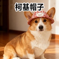 Corgi Hat Medium Dog Puppy Hat Medium Dog Puppy Hat Corgi Hat Medium Dog Puppy Special Sun Protectio