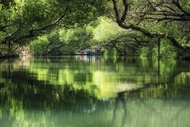 台南旅遊｜四草綠色隧道.安平老街.藍晒圖文創園區一日｜高雄出發