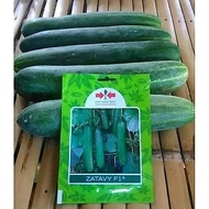 Benih Timun Hybrid ZATAVY F1 20gm Cap Panah Merah/East West (750 biji)