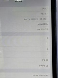 二手新淨 iPad Pro (12.9吋) 第5代 512GB Wi-Fi(M1)
