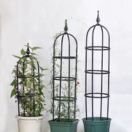 ✨ Plant Climbing Frame Plants Stand Rose Trellis Stainless Steel White Black 20 X 60cm Garden Adjustable Natural U-Hoops