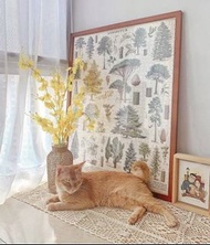 buy 1 get 1 free: [現貨] cavallini植物園 1000片拼圖