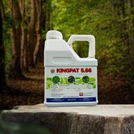 Kingpat 4 Liter Glufosinate-Ammonium 5.66% (Same As Buick 5.66 Rainpat 566 Tepat) Racun Rumpai Rumpu