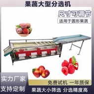 馬蹄橙柚水果篩選機 霑化冬棗西梅分選機 軌道式柑橘選果機