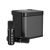 YS-203 Bluetooth Karaoke Speaker mikrofon tanpa wayar (hitam)