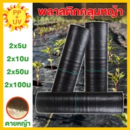 【70g/㎡】ผ้าคลุมกันหญ้า 2*5 2*10 2*50 2*100 พลาสติกคลุมดิน ผ้าใบคลุมดิน ผ้าคลุมดินหญ้า แผ่นคลุมวัชพืช