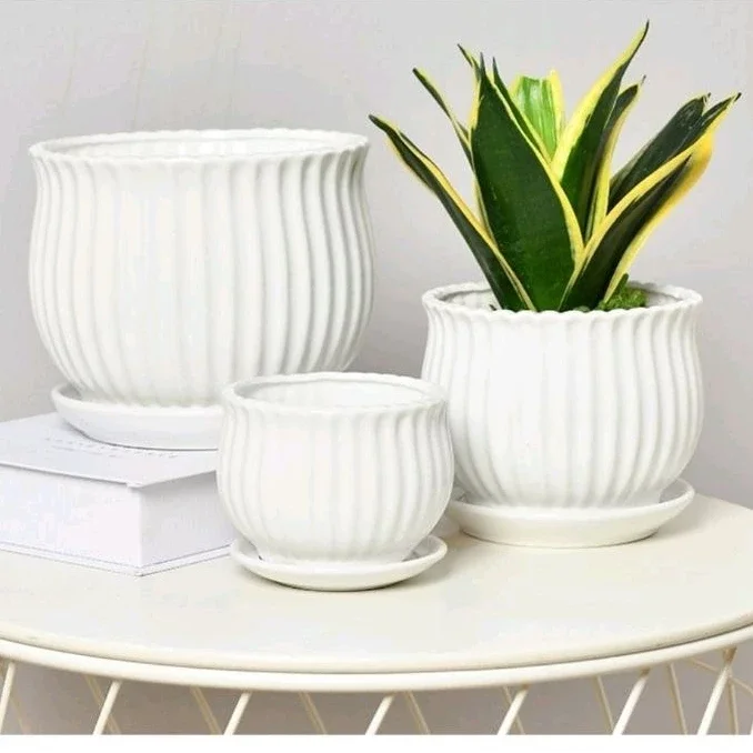 Ceramic Flower Vase / White Flower Pot / Round Planter Pot / Pasu Bunga Seramik / Pasu Putih / Pasu Bulat 白色陶瓷花盆