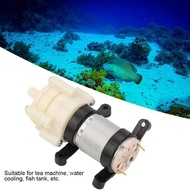Mini Aquarium Fish Tank Water Pump 12V - 14150 - WhitE