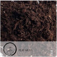 (SG Seller) Peat Moss 泥炭藓土 (Usagi)