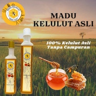 Madu Tualang Asli / Madu Kelulut Asli - 100% ASLI
