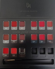 Pola B.A Lip Color Palette