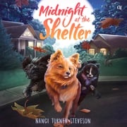 Midnight at the Shelter Nanci Turner Steveson