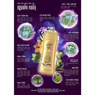Dầu gội dược liệu Nguyên Xuân bồng bềnh 600ml - Dành cho tóc dầu bết - Tặng thêm 10% thể tích giá kh