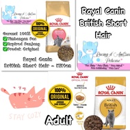 RC royal canin adult kitten bsh british shor hair 2kg