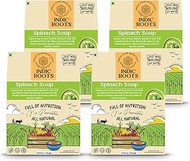 Organic Roots Indic Roots Spinach Soup, Palak Instant Soup Packets, Healthy Natural Ready To Cook Ve