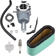 799727 698620 Carburetor for Briggs and Stratton 791886 495935 690194 498061 499153 287707 287777 28
