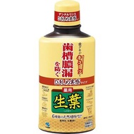 (代購)日本小林製藥 Kobayashi Shoyo 生葉草本成分緊緻牙齦護理漱口水 預防牙周疾病 Mouthwash 330ml (2款可選)