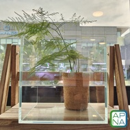🐟 15 & 20cm Cube Crystal Clear Glass Aquarium Tank for Nano Fish Shrimp Plant Tank CC Tank/超白缸 鱼缸 虾缸