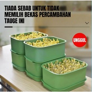 豆芽盆Pot Bean Sprout Artifact Yellow Green Bean Sprout Soilless Cultivation Hydroponic Bean Sprout Pot